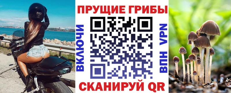 Галлюциногенные грибы GOLDEN TEACHER  Купить закладки  Гдов 